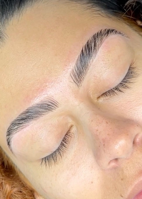 Brow Lamination Online Course